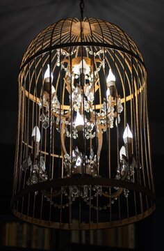 bird cage chandelier