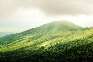 Green mountain peak top view with cloud sky shadow background landscape