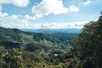 Mountains and green trees during the day