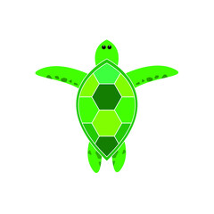 green turtle on white background