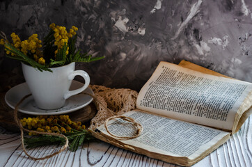 mimosa in a white small cup on a table with a book