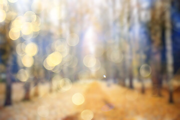 blurred background autumn forest, abstract art sunny autumn park, glow yellow october view