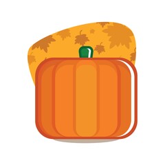 Obraz premium pumpkin