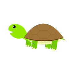 funny turtle cartoon