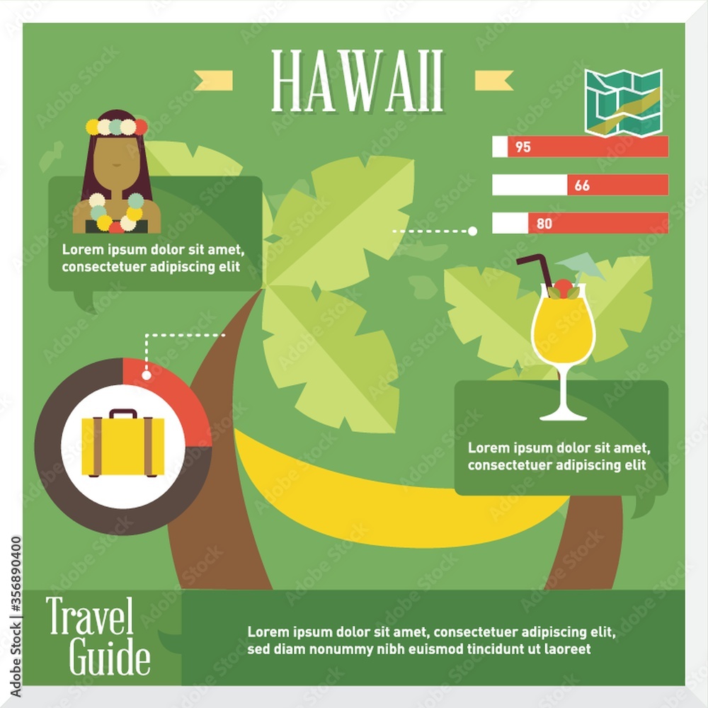 Poster hawaii travel infographic