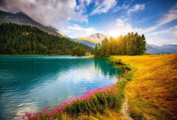 Fototapety na wymiar - Fototapeta24.pl