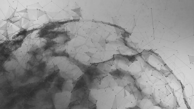 Earth - Black and White Plexus