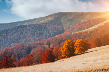 Breathtaking morning moment in alpine foggy valley. Location place of Carpathian mountains, Ukraine, Europe.