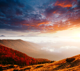 Naklejka na ściany i meble Breathtaking morning moment in alpine foggy valley.