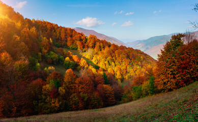 Naklejka premium Beautiful view of the autumn valley of the countryside. Location place of Carpathian mountains, Ukraine, Europe.