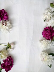 
Beautiful background of flowers and paper. Peonies on a white background. Squeezed paper. Flower composition.