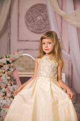 Little girl princess in beautiful holiday dress