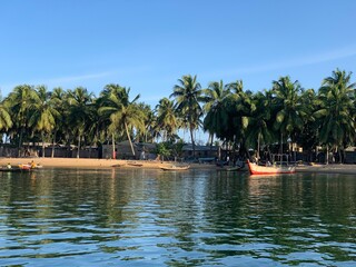 tropical beach with palm trees