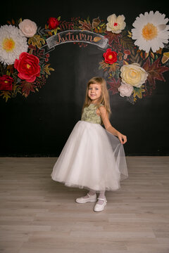 Little girl princess in beautiful holiday dress