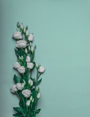 Flower arrangement. Border of fresh eustoma flowers in pastel tones
