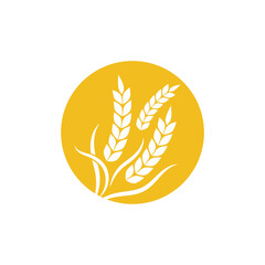 Agriculture wheat Template vector icon design