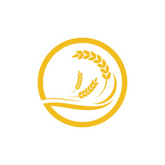 Agriculture wheat Template vector icon design