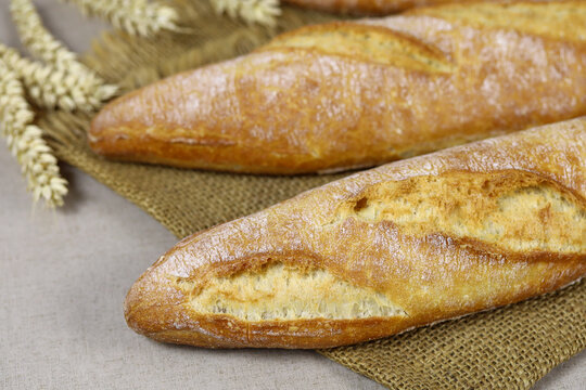665 Best Baguette De Pain Images Stock Photos Vectors Adobe Stock 665 Best Baguette De Pain Images Stock Photos Vectors Adobe Stock