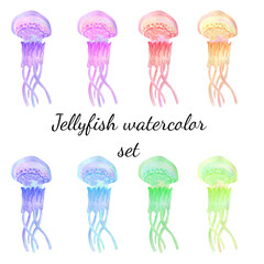 Colorful collection of jellyfish isolated on white background. Watercolor hand drawn illustration in realistic style. Deep under water sea and ocean life, tropical animals with tentacles hello summer