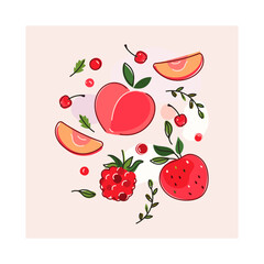 빨간색 과일 세트 벡터 일러스트.