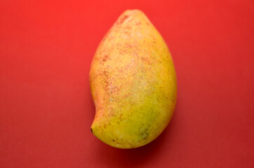 A yellow indian mango on red background