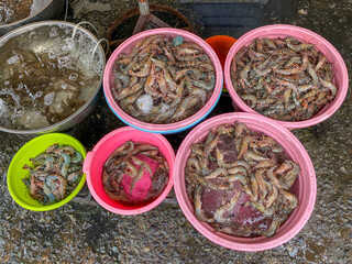 Uncooked shrimps or prawn for sale at outdoor seafood marketplace
