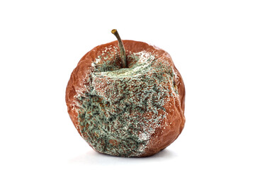 Mold on a rotten apple close up on white background. Spoiled fruit isolated.