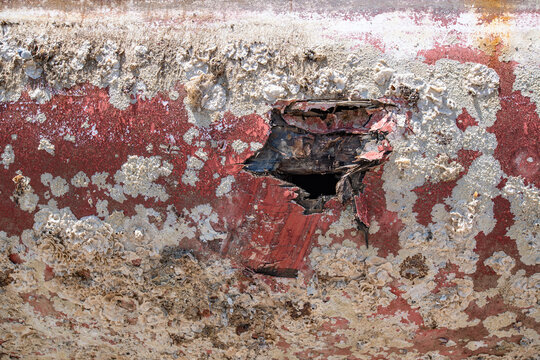 Old Shipwreck Detail Overgrown With Shells