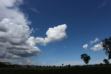 Obraz premium sky and clouds