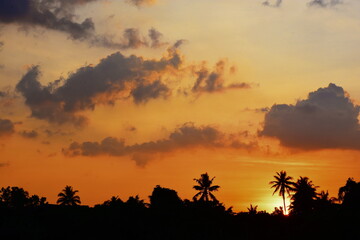 Obraz premium sunset in orange sky with clounds in evening