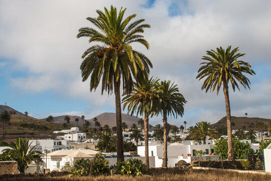 Pictures of the two main town (one the capital) in Lanzarote, Canary Island: Haria and Teguise, both with old white architecture and simple life. Typical are the  white houses with green windows 