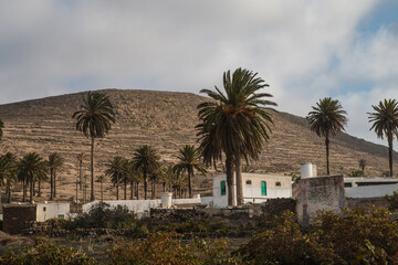 Pictures of the two main town (one the capital) in Lanzarote, Canary Island: Haria and Teguise, both with old white architecture and simple life. Typical are the  white houses with green windows 