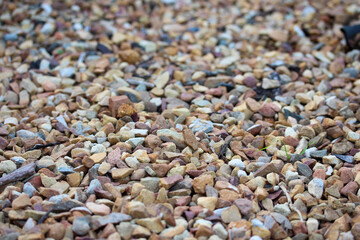 Gravel pit