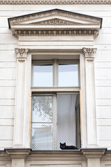 A lonely and curious black cat sits next to an open window of a building with a white wooden facade, in the city of Berlin. Domestic cat's life in house