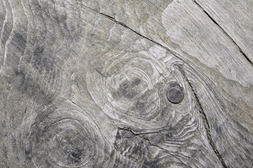 Wood texture. Lining boards wall. Wooden background. pattern. Showing growth rings