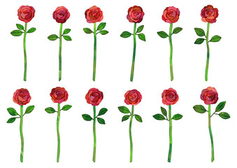 ベクター　12本の赤いバラのイラスト　ダーズンローズ