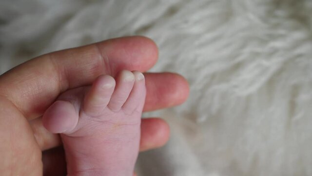 hand holding little cute newborn child foot fingers tootsy babinski sign