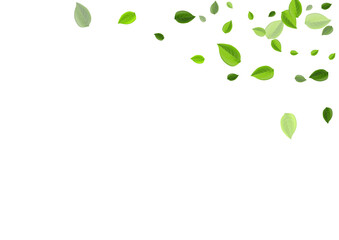 Swamp Leaves Blur Vector Background. Swirl 