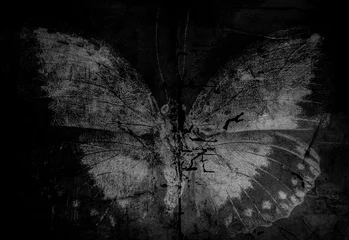 Wallpaper murals Butterflies in Grunge strong black texture butterfly 