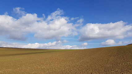 Marchfeld, Niederösterreich