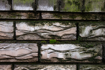 Moss-coated brick wall. Close-up