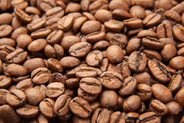 Closeup on arabica coffee beans that has been medium roasted