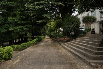 view of garden