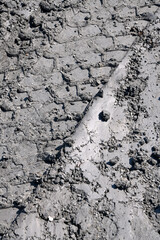 Traces of vehicle tires in clay.  Interesting mud background. Muddy soil texture.