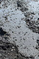 Interesting mud background. Muddy soil texture.