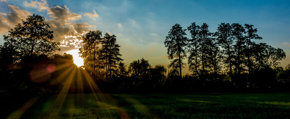 Promienie słoneczne przebijają się przez gałęzie drzew i padają na łąkę © RITHOR
