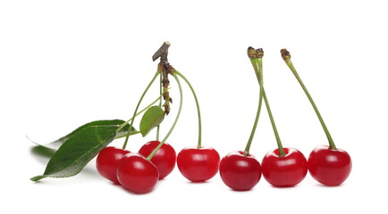 Ripe tart, sour cherries with leaves isolated on white background