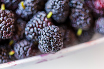 Organic Dark Black Ripe Mulberries in Plastic Box Package for Sale / Morus Mulberry Fruit. Group of...