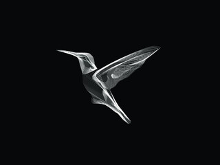 hummingbird white flying  (Linocut)