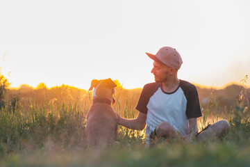 Man interacts with his dog in sunset, summer season. Pets and human friendship, taking care, spending time together.